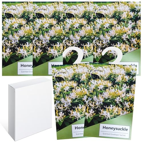 Lot de 6 sachets parfumés pour Armoire, penderie, Parfum d'armoire, sachets parfumés Frais, Sac parfumé, Sac à Suspendre, décoration d'armoire, Sachet d'odeur Naturelle (Chèvrefeuille)