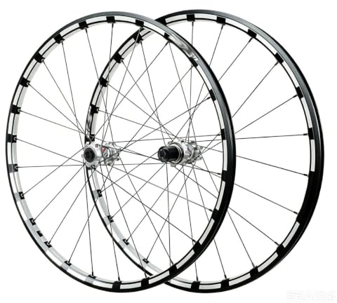 QUYCOIU Hjulsats Mountainbike 700C/26/27,5/29 Aluminiumfälg Hjulsats Skivbromsar Raka Ekrar HG Genomgående Axel 24H-nav F15*100/R12*142Mm För Kassetter Med 7/8/9/10/11/12 Växlar(Silver,26in)