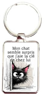 Porte-clés chat humoristique en métal argenté, idée cadeau originale et artisanale, accessoire rigolo et pratique pour les amoureux des chats avec message drôle « Mon chat semble surpris… »