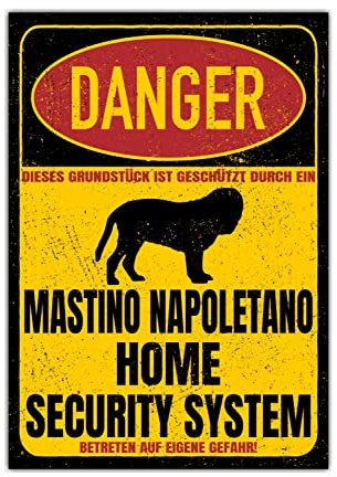 Mastino Napoletano Schild Danger Security System Türschild Hundeschild Warnschild Hund Sicherheitsschild Hund Privatgrundstück Hundewarnung Warnung vor dem Hund