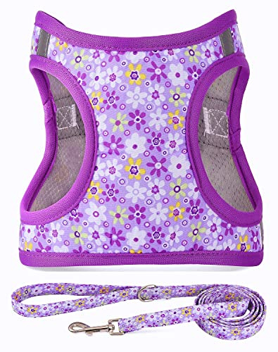 Moonpet Step in Air - Correa y arnés para Perro, Reflectante, de Malla Acolchada, sin tirones, patrón Floral, para Gatos, Cachorros, Perros extrapequeños, medianos y Grandes, Flor Morada, XS