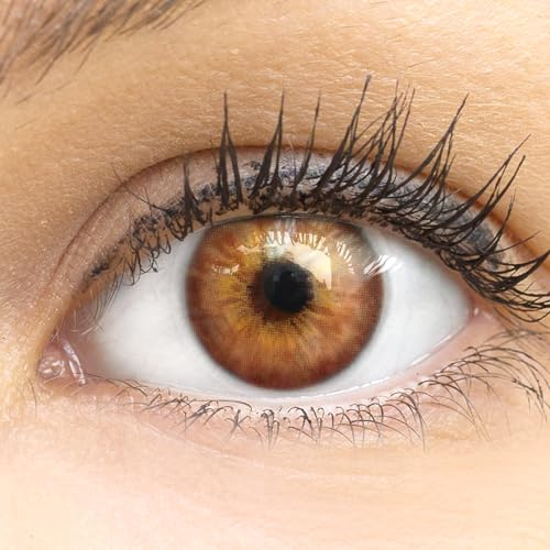 Glamlens lentilles de couleur brun naturelles colorées très haute opacité Madrid Brown + étuis à lentilles de contact I 1 paire (2 pièces) I 90 Jours I sans correction I 0,00 Dioptries