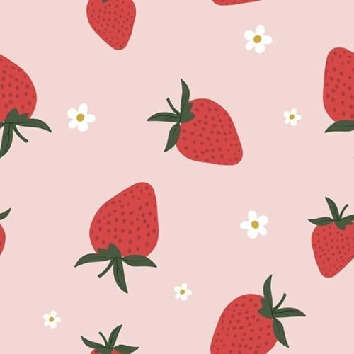 Frotteestoff Meterware bedruckt - ÖkoTex 100 Kl.1 babytauglich - Handtuchstoff, Badestoff, Frottee Stoff, Bademantel, Strandtuch *Ab 50cm, Farbe: 006 Erdbeeren