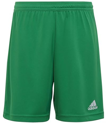adidas Unisex Kids Entrada 22 Shorts, Team Green, 9-10 Years