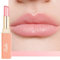Oulac 2 in1 Lippenstift und Lip Balm, Saftiger und Glänzender lippenpflege Lippenstift,Geschmeidige und Hydratisierte Lippen, Glänzendes Finish für trockene, rissige Lippen, Vegan (22)