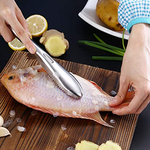 Removedor de escamas de peces, raspador de pescado de acero inoxidable, cepillo de limpieza para quitar fácilmente la herramienta de escamas de peces