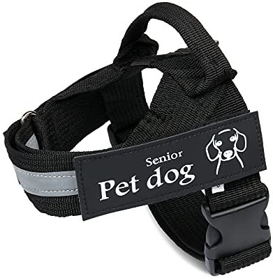 Albertband Personalisiertes Hundegeschirr, Keine Reflektierende Hundeweste, Atmungsaktiv, Verstellbares Hundegeschirr mit Griff, Einfache Steuerung für Mittelgroße Hunde im Training (M-schwarz)