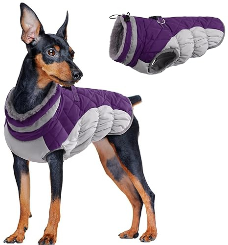 Wintermantel Hund Klein, Winter Warme Hundejacke Winddichter Anti-Schneeanzug Hundebekleidung Winter Outfit für Kleine Hunde Hundejacke Französische Bulldogge(Lila, S)