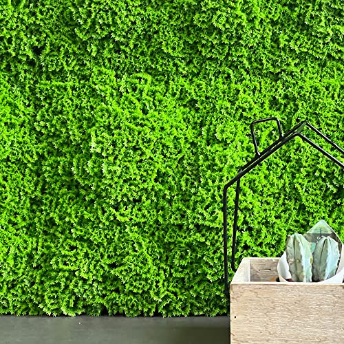 TENAX Divy 3D Muscus 1x1 m Verde, Siepe Artificiale Tipo Muschio, Pannello Componibile per Giardino Verticale | Pannello per Giardino Verticale, Parete Verde Artificiale, Decorazione Indoor Outdoor, Verde