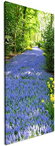 Chemin des jacinthes de raisin Panorama 100 x 50 cm Impression numérique de qualité supérieure avec cadre en bois