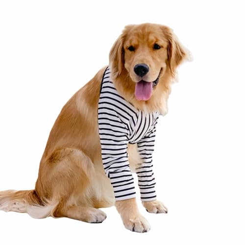 BT Bear Hunde-Ellenbogenschutz für Schwielen, Gelenk-Wiederherstellungsmanschette für Hunde, verhindert Lecken von Wunden, Ellenbogenbandagen mit Netzpolster für mittelgroße und große Hunde (XXL,