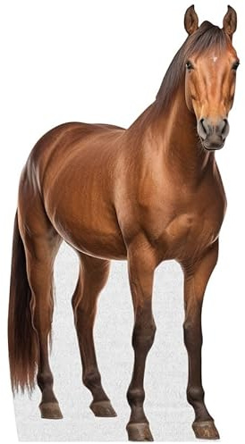 Horse - Life Size Cardboard Cutout Standup People with Support Standee | Animals -1