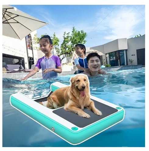 Wasser Hundekletterleiter Für Hunde, Tragbare Wiederverwendbare Planke Für Welpen Für Oberirdische Schwimmbäder, Faltbare Hund Pool Rampe, Tragfähigkeit 105kg, Schwarz Blau Grün Rot Gelb(Green)
