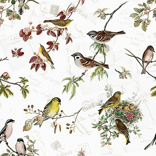 20 Servietten Heimische Vogelarten/V?gel/Tiere/Tiermotiv/Frühling 33x33cm