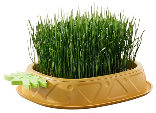 usefulbeauty Katzengras-Pflanzgefäß für Hauskatzen, Katzengras-Tablett - Katzengras-Pflanztablett | Weizengrastopf im Ananas-Design, erdfreier Pflanzkasten, Bio-Katzengras für den Innenbereich,