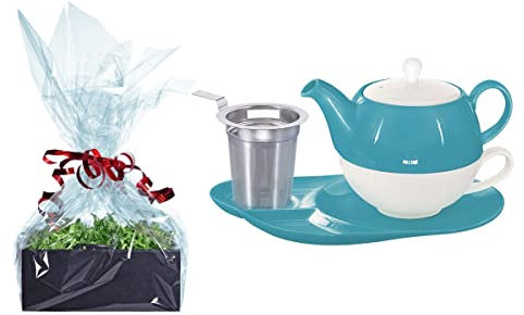 Buchensee Tee Geschenk Set, Tea for One mit Sieb Lena türkis 500ml aus Porzellan. Teekanne + Teetasse + Untertasse mit Ablageflächen + Sieb