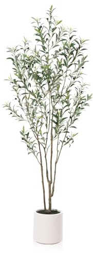 LOMANTO Artificial Olive Trees, 7 ft Tall Fake Olive Trees for Indoor, Faux Olive Silk Tree, Large Olive Plants with White Planter for Home Decor and Housewarming Gift, 1 Pack