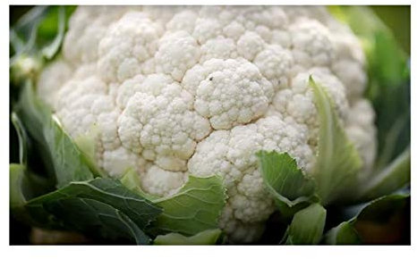 Pcs - 30x Cauliflower Alpha 6 Fortados Garden Vegetables Plants - Seeds KS277 & Plants Shop by Ipsa