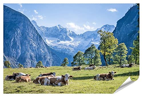 Prime Poster Fotodruck Kühe auf Wiese in den Bergen Alpen Kuhwiese Premium Bild auf Foto Papier 90x60cm