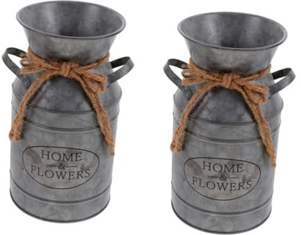 2pcs Planter Garden Galvanized Decorations Rope Can Home Country Tin Pot Desktop Vintage Table Holder Dried Vase Pots for Pitcher Metal Balcony Handle Bucket Farmhouse (Color : Silverx2pcs, Size : 1