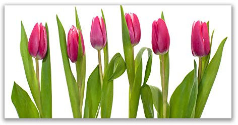 Tulup Acrylic Glass Print 120x60cm Wall Art - Wall Picture Plastic Acrylic Glass - Tulips Floral