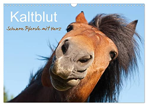 Kaltblut - schwere Pferde mit Herz (Wandkalender 2026 DIN A3 quer), CALVENDO Monatskalender: Wunderschöne Fotografien von Kaltblutpferden (CALVENDO Tiere)