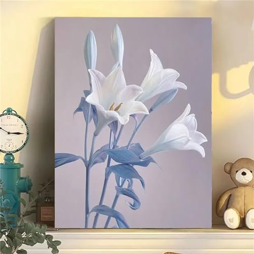 Schöne Lilie Malen nach Zahlen für Erwachsene,DIY Acryl Aquarell Malen nach Zahlen für Kinder Anfänger,Malen Kunst Handwerk für Dekoration Kunst Wandbilder（DIY Frame）45x60cm