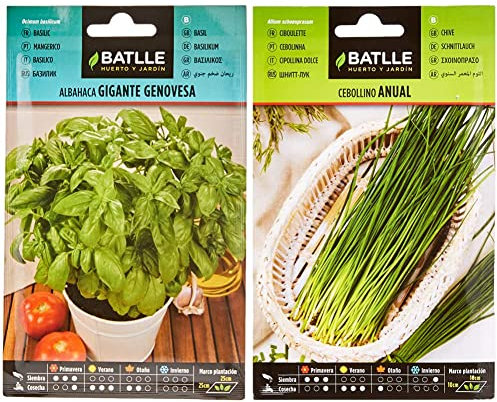 Semillas Batlle - Albahaca GIGANTE Genovesa, Color Verde & Cebollino anual