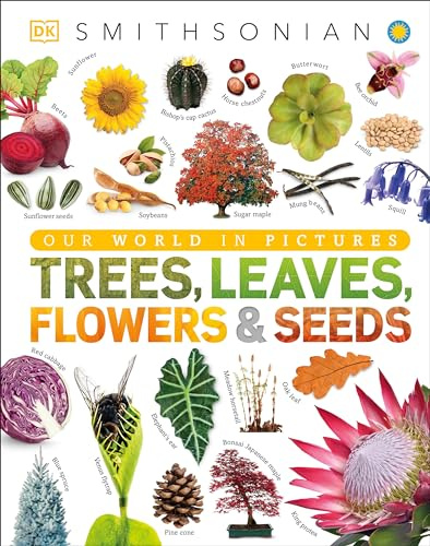 Trees, Leaves, Flowers & Seeds: A Visual Plant Encyclopedia for Kids (DK Our World in Pictures)
