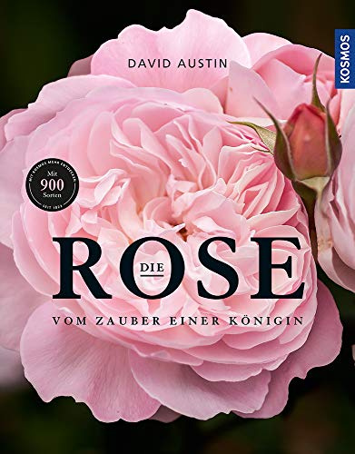 Die Rose: Vom Zauber einer Königin: Vom Zauber einer Königin. Mit 900 Sorten