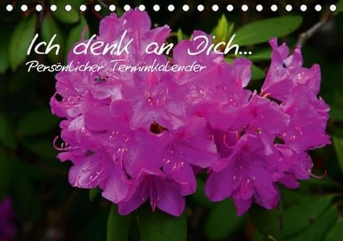 Ich denk an Dich ... Persönlicher Terminkalender (Tischkalender immerwährend DIN A5 quer): Neutraler Geburtstagskalender (Tischkalender, 14 Seiten) ... [Kalender] [Jun 04, 2013] Di Chito, Ursula