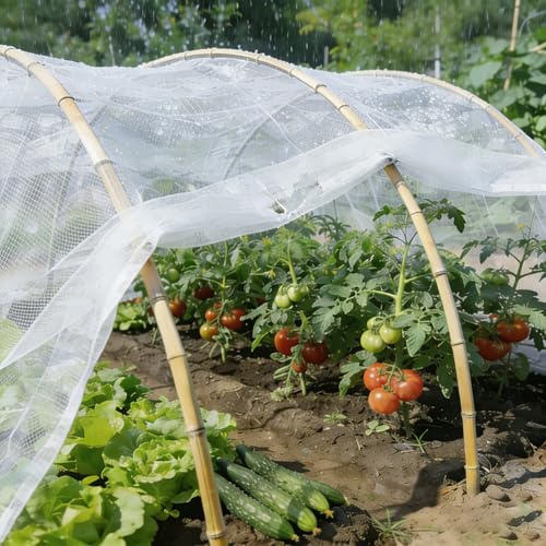 Trädgårdsgrönsaker hagelskyddsnät, stabil fågelskyddsnät, insektsskydd för rabatter, växthus fruktträdgård, dammlövskyddsnät, enkel installation, flera storlekar (3 x 50 m)