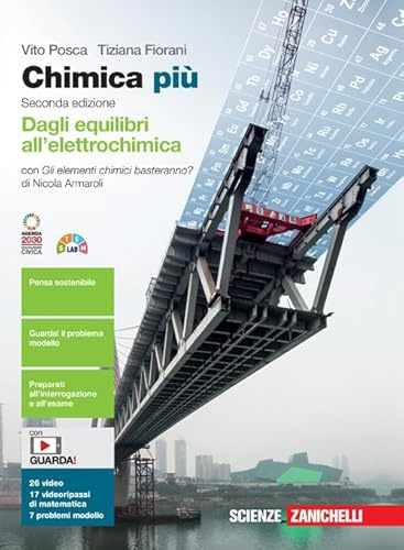 Chimica più. Dagli equilibri all'elettrochimica. Con Gli elementi chimici basteranno? Per le Scuole superiori. Con e-book. Con espansione online