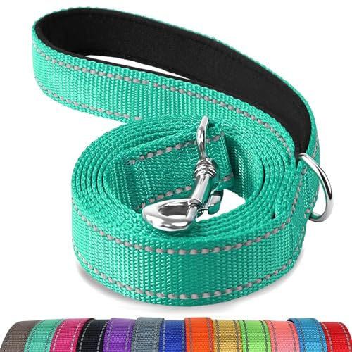 Joytale Dubbelsidigt reflekterande hundkoppel, 6 fot/5 fot, vadderat handtag nylon hundkoppel för promenader, träningskoppel för små och medelstora hundar, blågrön, 1,5 m