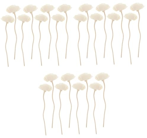QUMIIRITY 24pezzi Rattan Per Accessori Decorativi Per Diffusore Essenziali Design