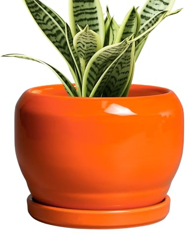 SQOWL Ceramic Plants Pots - 6 Inch Planter Indoor with Drainage Hole and Plant Saucer, Modern Round Planter Outdoor, Decorative Succulent Pot, Home Decor, Housewarming Gifts, Orange