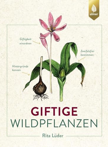 Giftige Wildpflanzen: Zweifelsfrei bestimmen, Giftigkeit einordnen, Hintergründe kennen