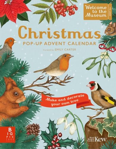 Navidad: Calendario de Adviento desplegable: 48 (El chico amarillo)