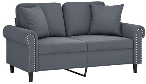 vidaXL Sofa 2 Sitzer, Couch mit Zierkissen, Liegesofa für Wohnzimmer, Polstersofa Sessel Relaxsofa Loungesofa Relaxcouch, Dunkelgrau Samt