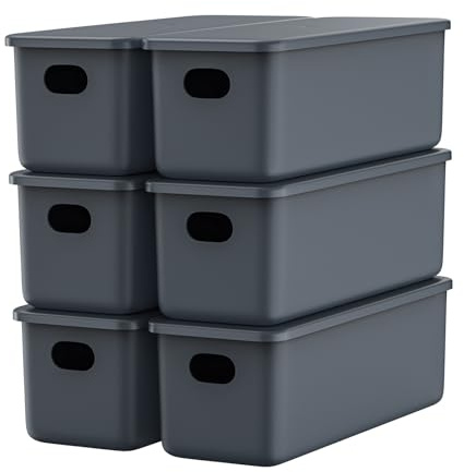 johgee 6er-Set Aufbewahrungsbox mit Deckel, PP Kunststoff, 6 x 2.8L (28 x10.5 x9.5 cm), Grau