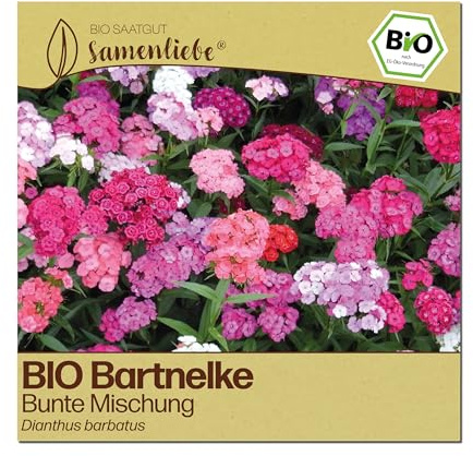 Samenliebe BIO Bartnelken Samen | Schnittblume - winterhart - samenfestes BIO Saatgut