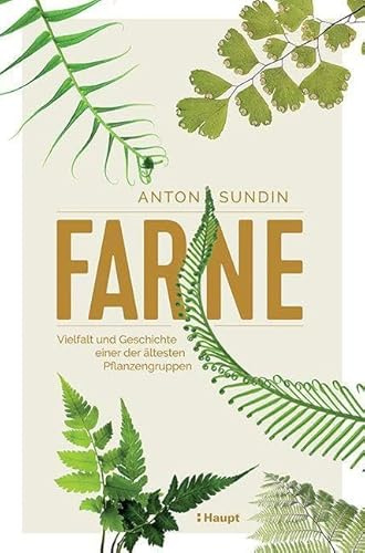 Farne: Vielfalt und Geschichte einer der ältesten Pflanzengruppen
