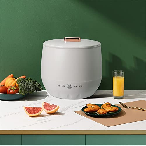 ZHANGMIN Piccolo Cuociriso, Cuociriso Elettrico da 1,6 Litri con Coperchio in Acciaio Inossidabile, Multi-fornello for Cucinare Riso, Zuppa, Pentola Calda for Appartamento/Piccola Cucina/dormitorio