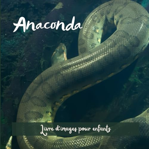 Anaconda: Livre d'images pour enfants