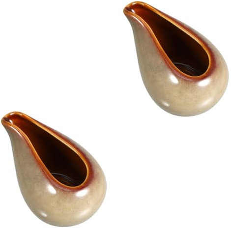 Alipis 2 Pz pentola per Immersione Barbecue Crema Festa Scodella Dispenser per sciroppo Mini Porcellana Contenitore per Salsa fumante brocca di in Ceramica distributore di caffè