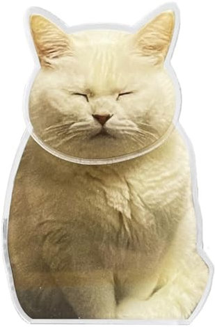 Armaturenbrett Ornament Wackelkopf Katze Niedliche Cartoon Tier Figur Acryl Entzückende Auto Innenraum Sammlerstück für Fahrzeug Desktop Dekoration Geburtstage Feiertage Besondere Anlässe