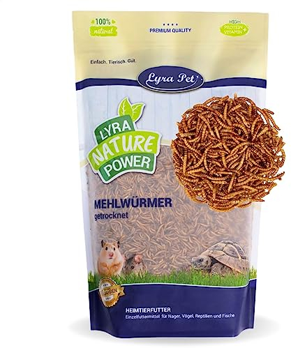 Lyra Pet® | 10 kg Mehlwürmer | Ideal für Nager | Schonend Getrocknet | Proteinreiches Futter für Hamster, Ratten & Rennmäuse | Reich an Vitaminen & Mineralstoffen | Natürlicher Energiespender
