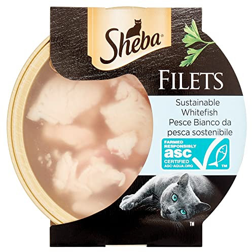 Sheba Filets Nassfutter für Katzen mit weißem Fisch, 60 g