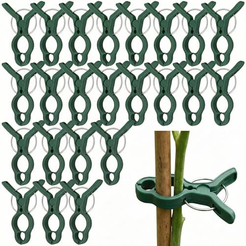 HEMOTON 50 Stück Pflanzenclips Groß, Wiederverwendbare Pflanzenklammern | für Tomaten & Gurken, Stabile Rankhilfe & Pflanzenhalter für Kletterpflanzen, Rosen, Orchideen im Garten & Gewächshaus