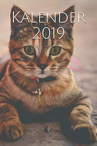 Kalender 2019
